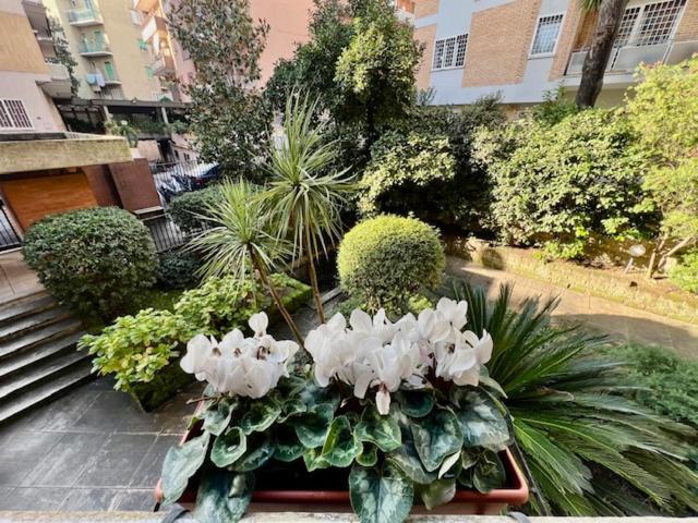 Apartament La Casa Delle Camelie Rzym Zewnętrze zdjęcie